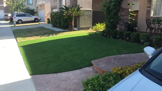 Mirage 108 synthetic turf in a Tucson area yard, photo 6