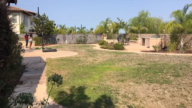 Mirage 82 synthetic turf in a Tucson area yard, photo 6