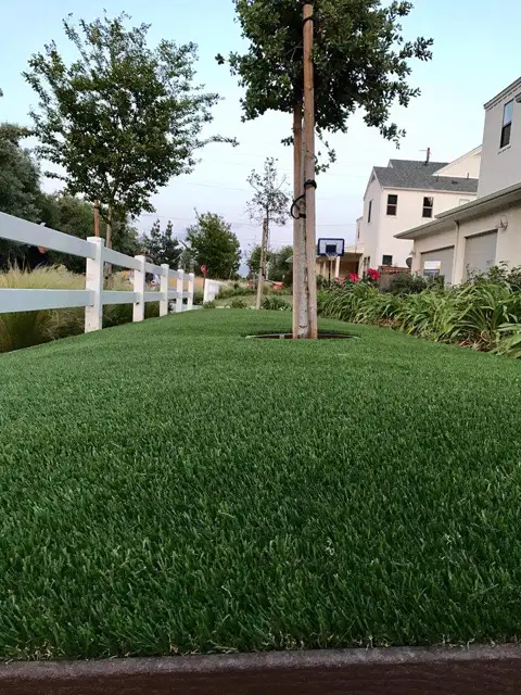 Mirage 94 synthetic turf in a Tucson area yard, photo 12