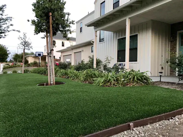 Mirage 94 synthetic turf in a Tucson area yard, photo 14