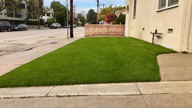 Mirage 94 synthetic turf in a Tucson area yard, photo 18