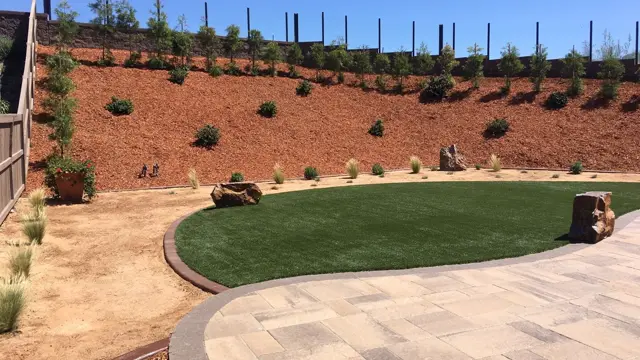 Mirage 94 synthetic turf in a Tucson area yard, photo 3