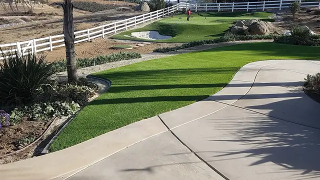 Mirage 96 synthetic turf in a Tucson area yard, photo 11
