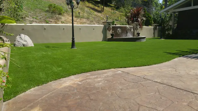 Mirage 96 synthetic turf in a Tucson area yard, photo 12