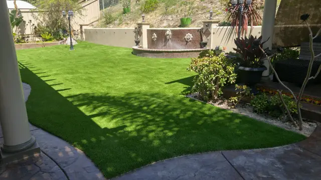 Mirage 96 synthetic turf in a Tucson area yard, photo 16