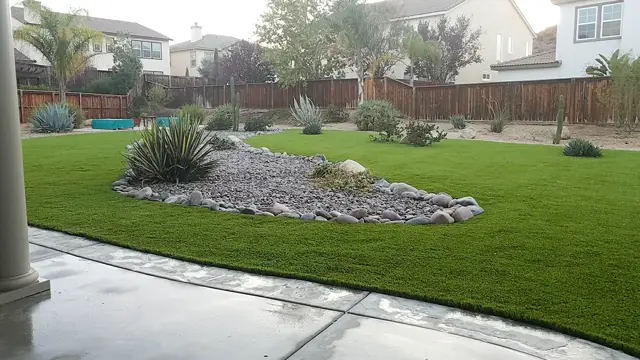 Mirage 96 synthetic turf in a Tucson area yard, photo 2