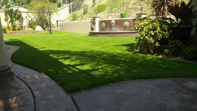Mirage 96 synthetic turf in a Tucson area yard, photo 3