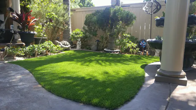 Mirage 96 synthetic turf in a Tucson area yard, photo 4