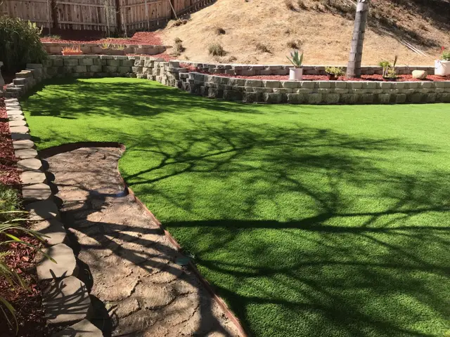 Mirage 96 synthetic turf in a Tucson area yard, photo 5