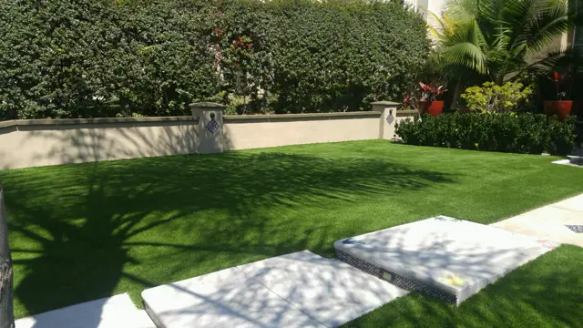 Mirage 96 synthetic turf in a Tucson area yard, photo 6