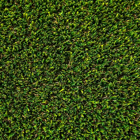 PetPlay synthetic turf sample